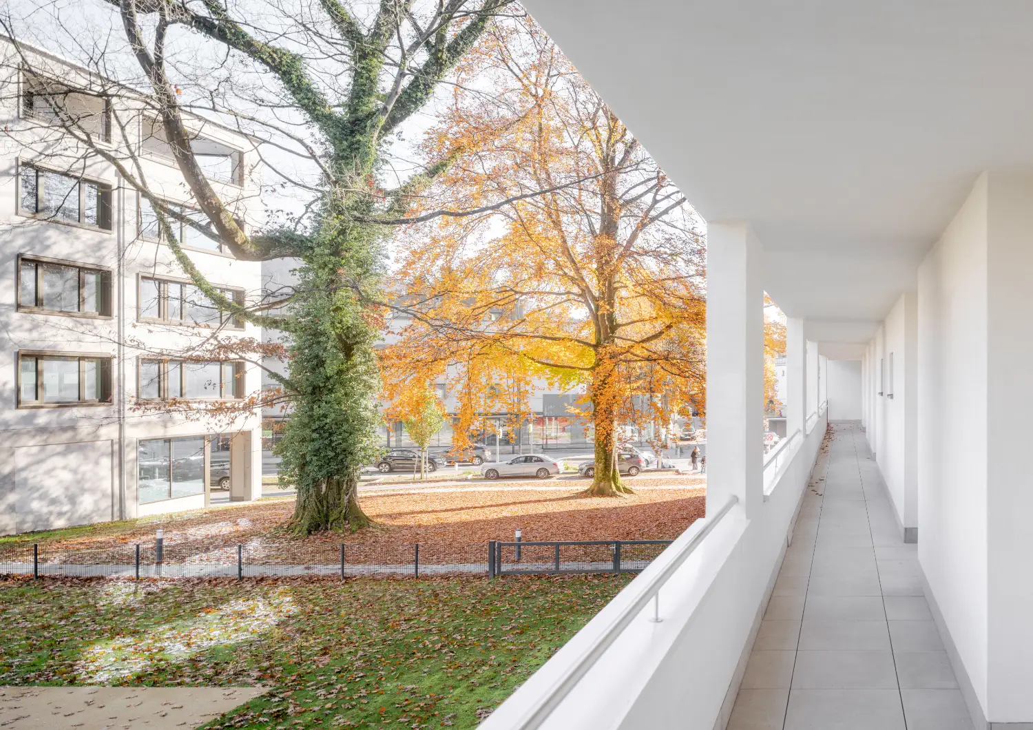 Doppelhaus Mehrfamilienhaus Sulzberg Vorarlberg Harlander