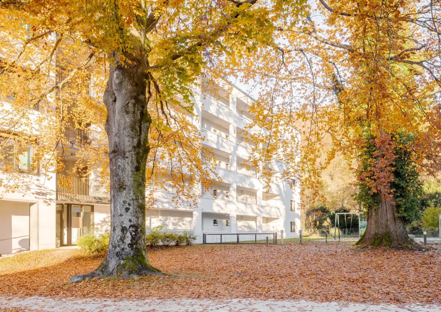 Doppelhaus Mehrfamilienhaus Sulzberg Vorarlberg Harlander